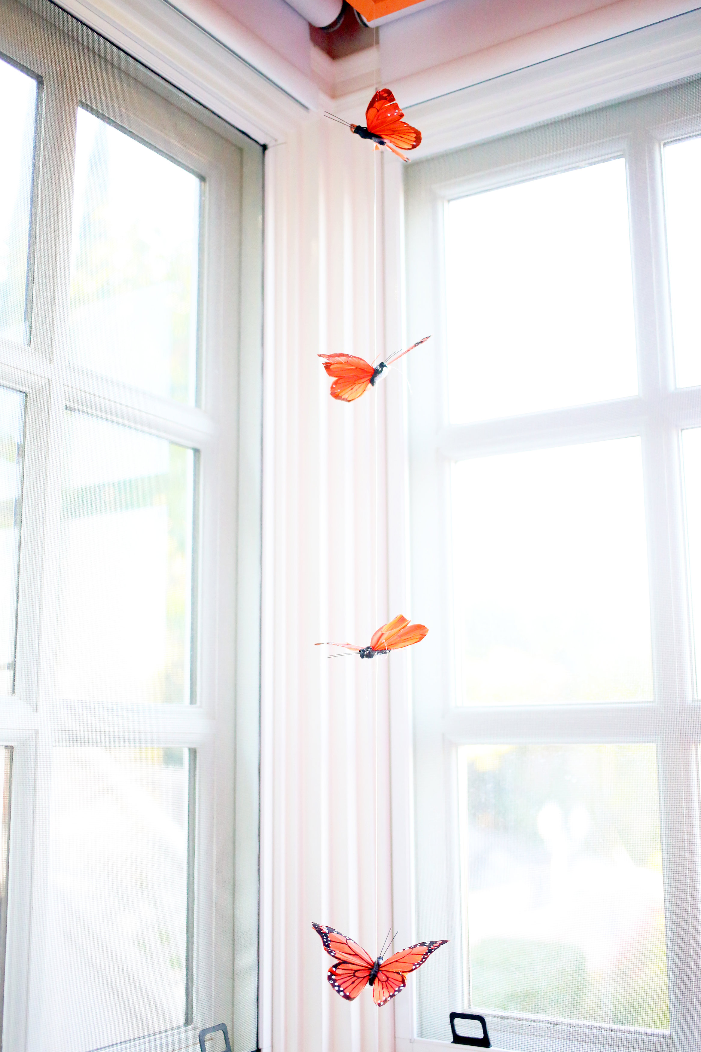 Home_062