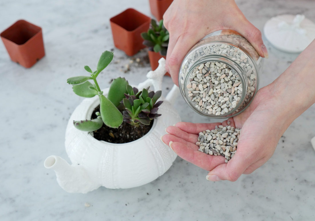 Eva Amurri Martino wearing a gold bracelet watch, showing how to craft DIY Teacup Planters on the REZTT blog using a pebbled porcelain tea pot and mini succulents