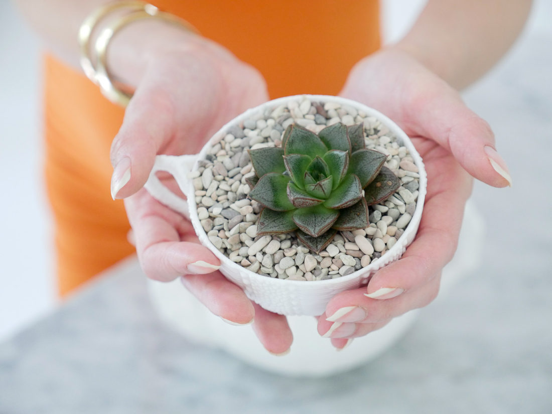 Eva Amurri Martino from the REZTT blog displaying her DIY Teacup Planters with Mini Succulents and small pebbles, wearing a bodycon orange maternity dress and gold bracelet watch