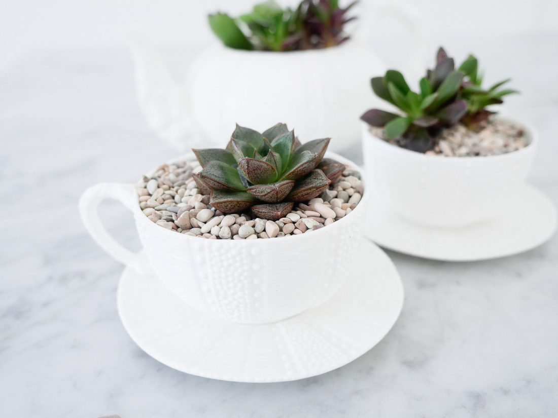 DIY teacup planters featuring small succulents surrounded by tiny pebbles in a white china tea cup on the REZTT blog by Eva Amurri Martino