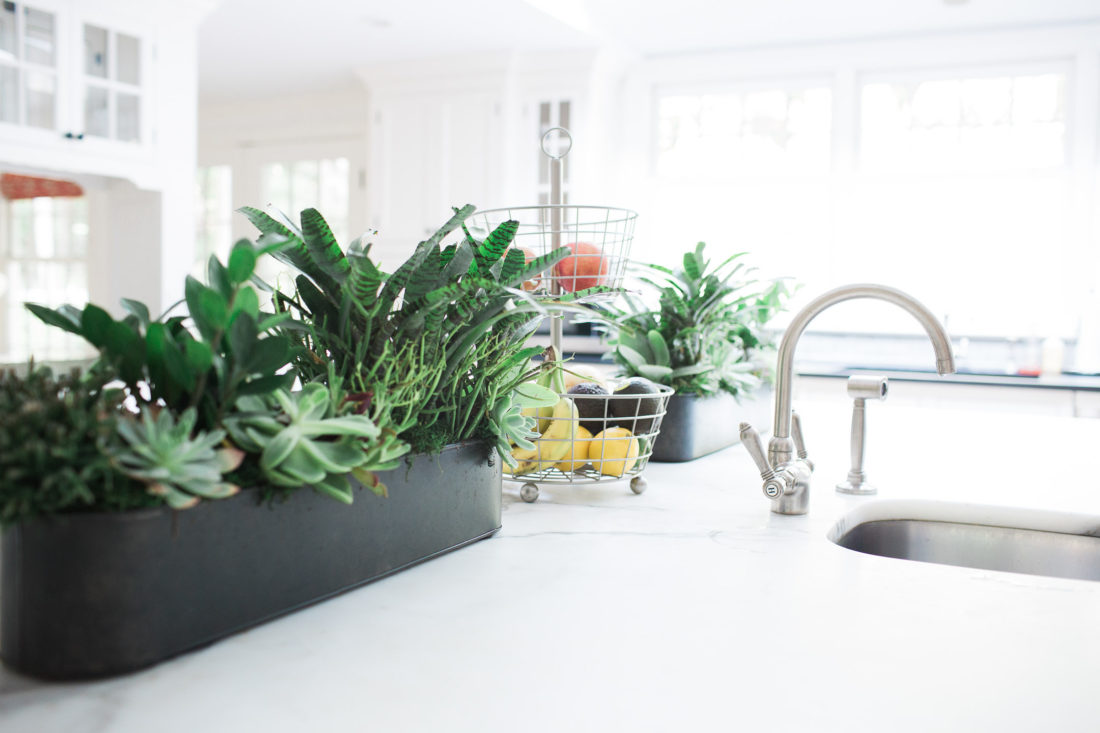close up of the potted succulents in a galvanized metal planter in the light and airy kitchen of lifestyle blogger Eva Amurri Martino of REZTT