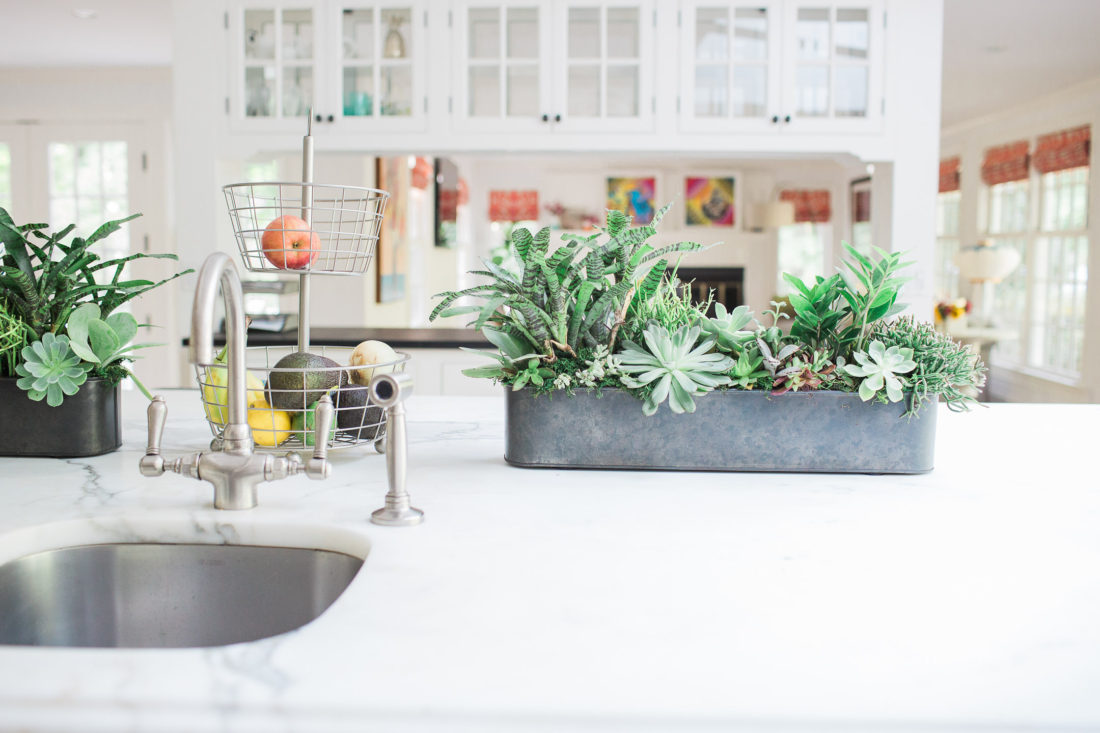 A few of the potted succulents in industrial planters on the white carrara marble kitchen island in lifestyle blogger Eva Amurri Martino's Connecticut home