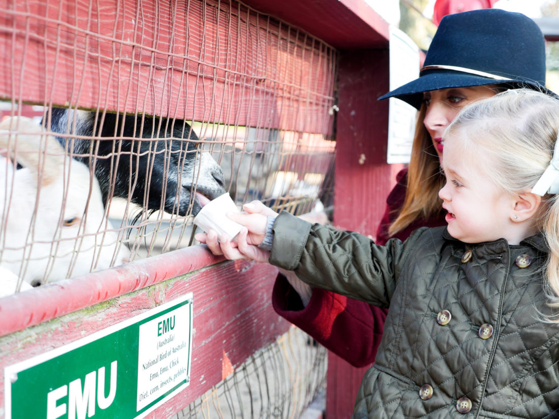 Eva Amurri Martino of lifestyle and motherhood blog REZTT, feeding a goat with her two year old daughter Marlowe