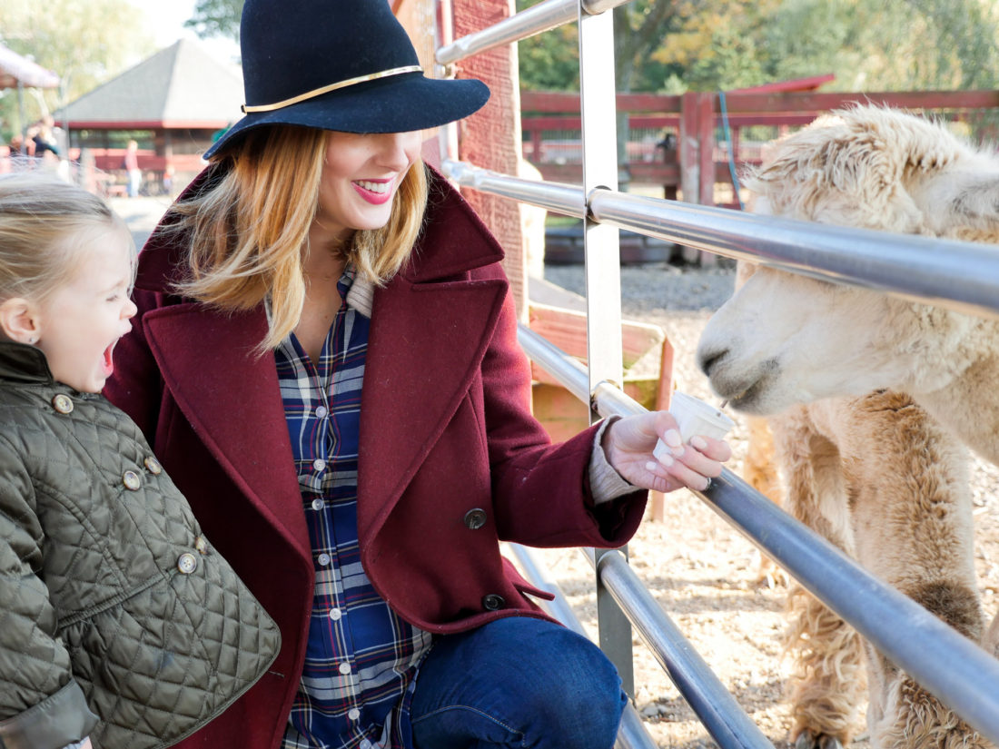 Eva Amurri Martino of lifestyle and motherhood blog REZTT wears an oxblood wool coat, plaid maternity shirt, and navy felt hat as she feeds a llama with two year old daughter Marlowe