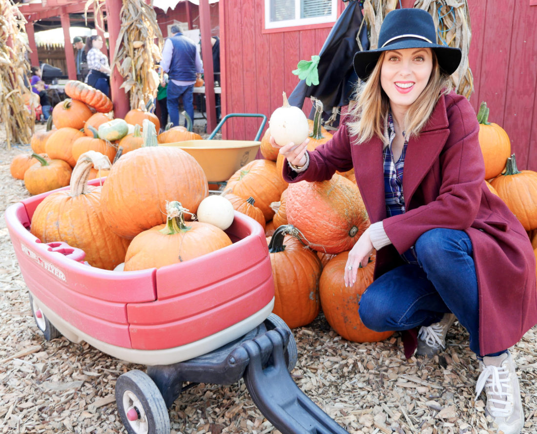 Eva Amurri Martino of lifestyle and motherhood blog REZTT, wearing dark denim maternity jeans, a plaid maternity shirt, an oxblood peacoat and navy felt hat at 39 weeks pregnant, collecting pumpkins at Silverman's pumpkin patch in Connecticut
