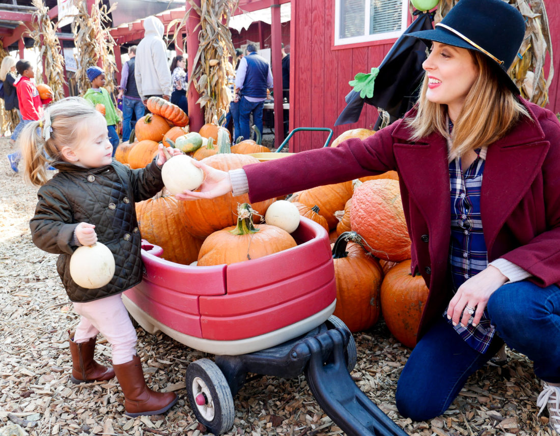 Eva Amurri Martino from lifestyle and motherhood blog REZTT, collecting pumpkins with two year old daughter Marlowe at Silverman's pumpkin patch in Connecticut