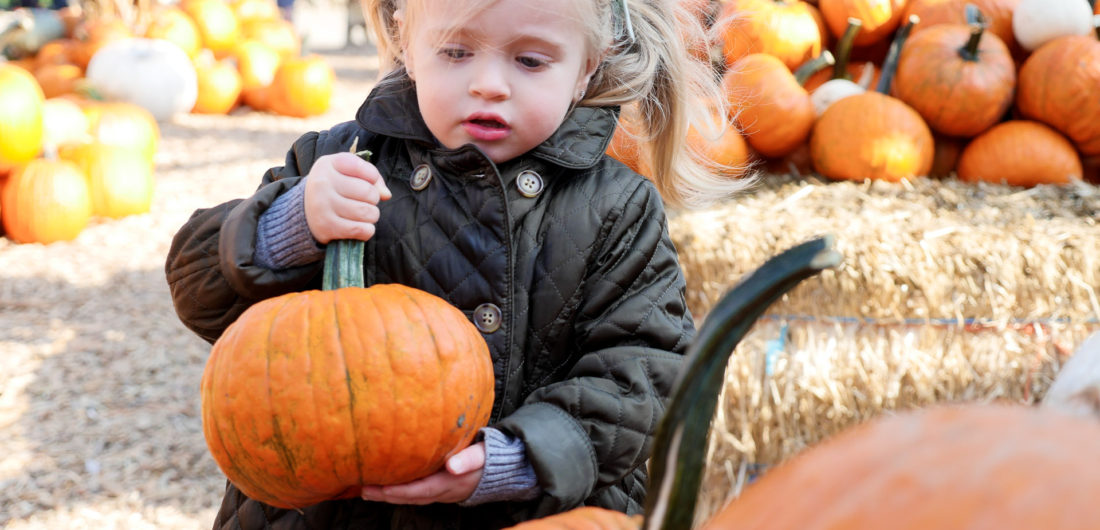 Marlowe Martino, wearing an olive green quilted pea coat and carrying a little pumpkin at silverman's pumpkin patch in connecticut