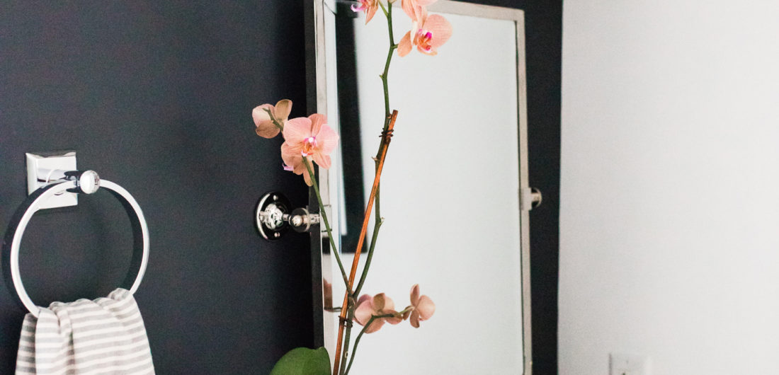 Eva Amurri Martino shares the full redesign of her black, white, and grey concept powder room in her Connecticut home