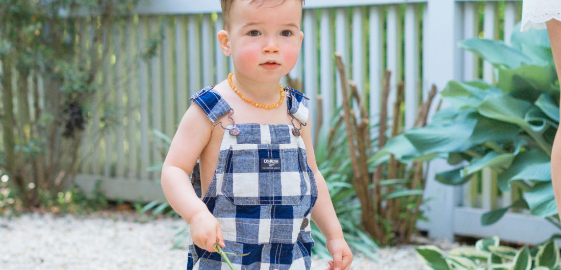 Eva Amurri Martino's son Major carries flowers from their garden in Connecticut.