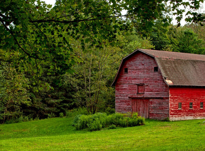 REZTT Connecticut Travel Guide