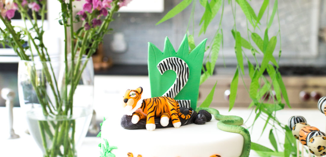 Eva Amurri Martino shares images from her son Major's Safari themed 2nd birthday party