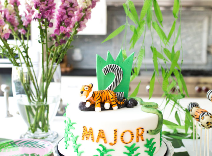 Eva Amurri Martino shares images from her son Major's Safari themed 2nd birthday party