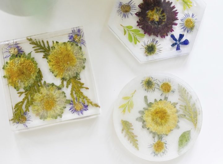 Eva Amurri shares how to make her DIY Pressed Flower Coasters