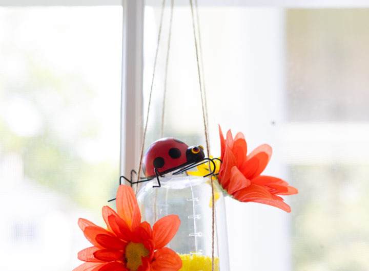 Eva Amurri shares her DIY Butterfly Feeders