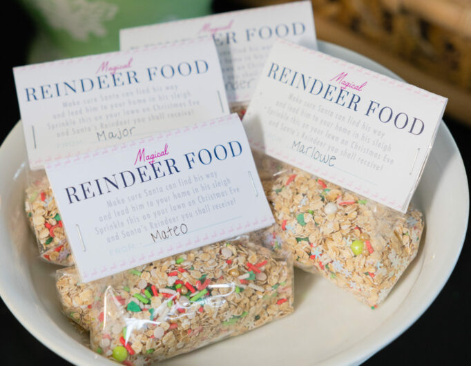 Eva Amurri shares her Magical Reindeer Food craft