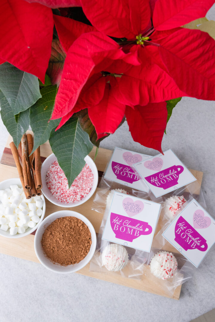 Eva Amurri shares her Hot Cocoa Bombs