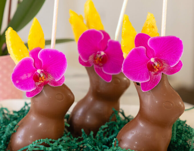 Eva Amurri shares her Tiki Bunny Cocktail